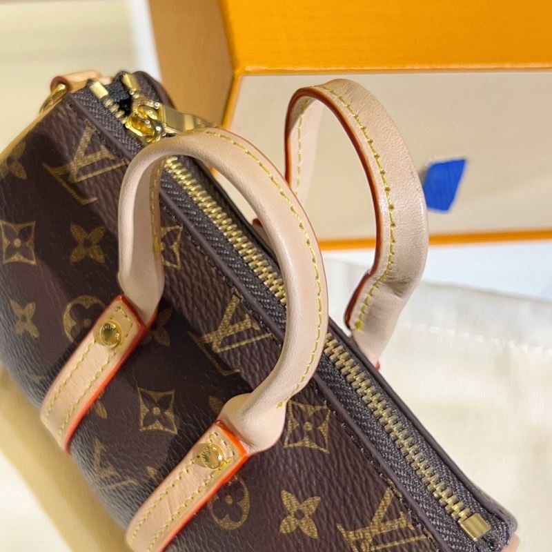 Louis Vuitton Bags Accessories